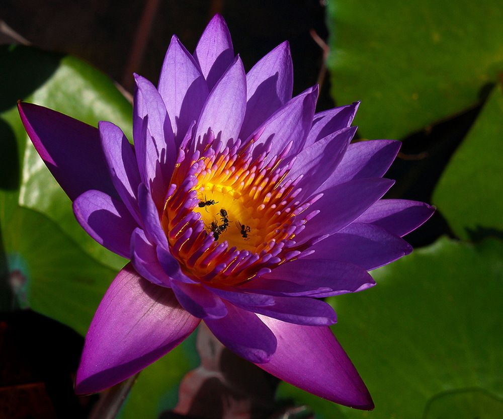 Photograph by Светлана Борозенцева