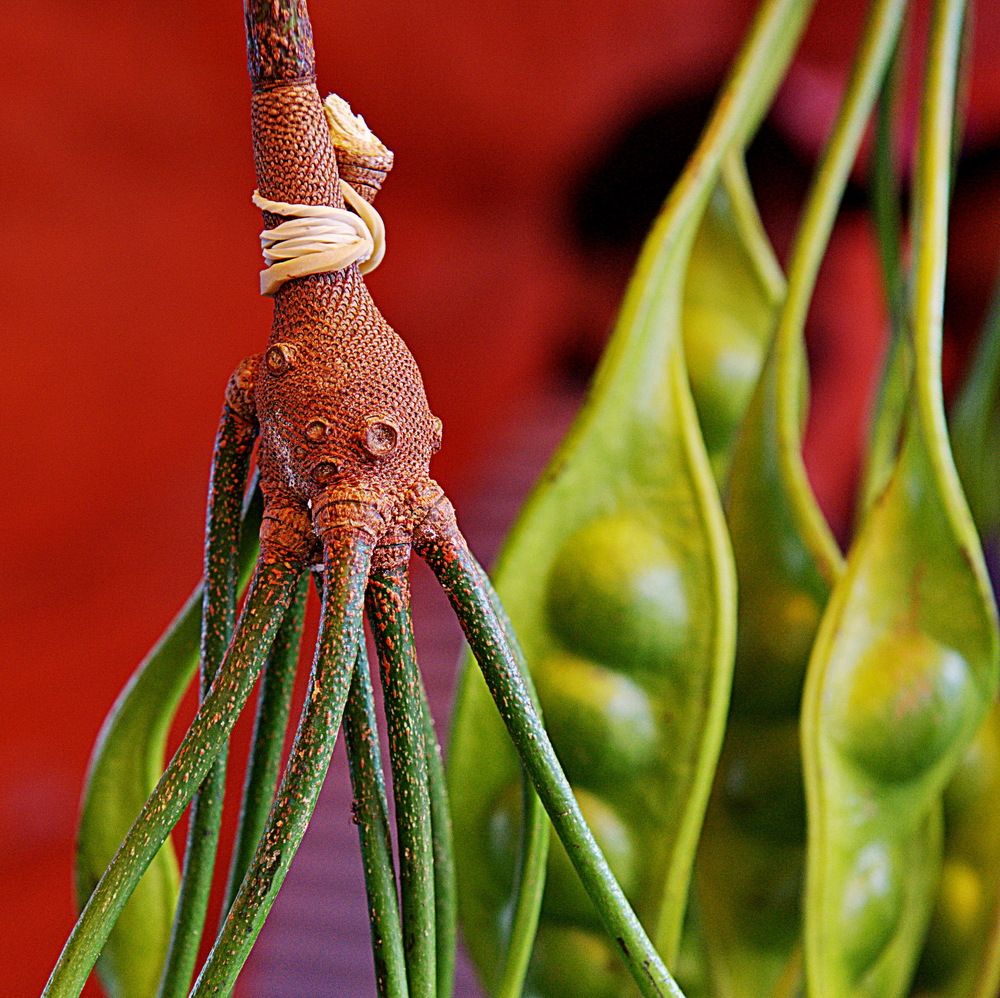 Photograph by Светлана Борозенцева