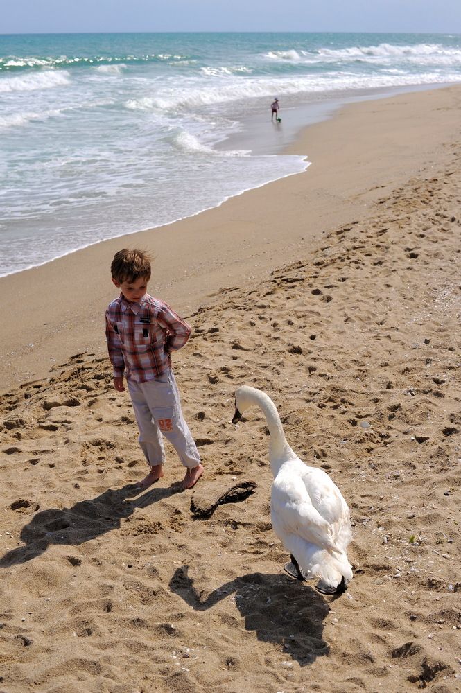 Photograph by Светлана Борозенцева