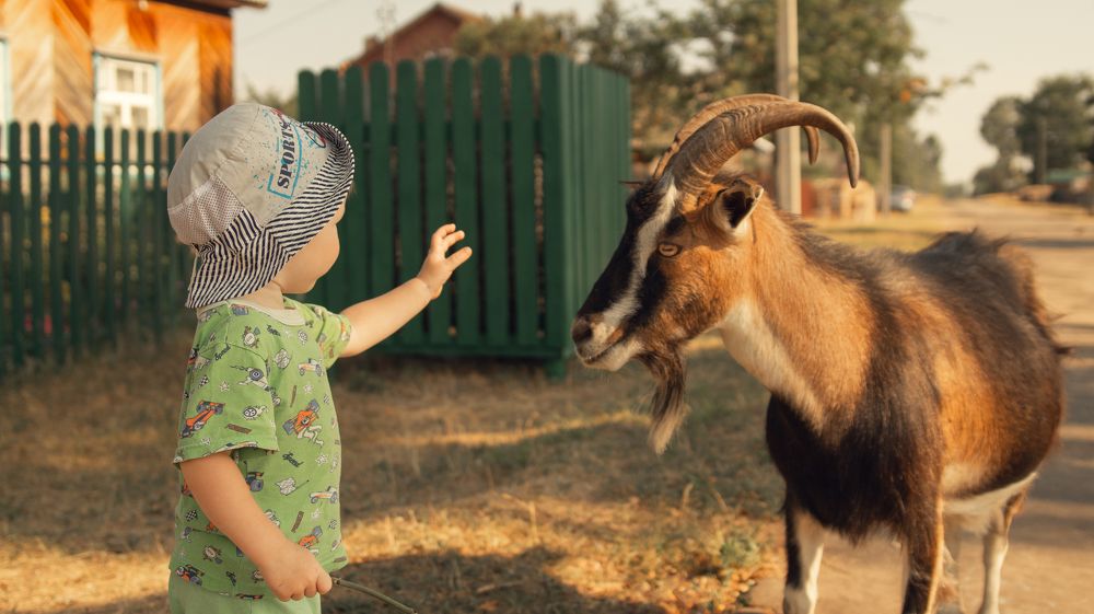 Photograph by Евгений Калагаев