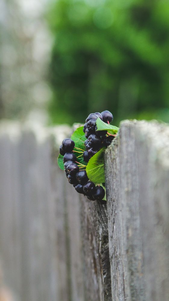 Photograph by Евгений Калагаев