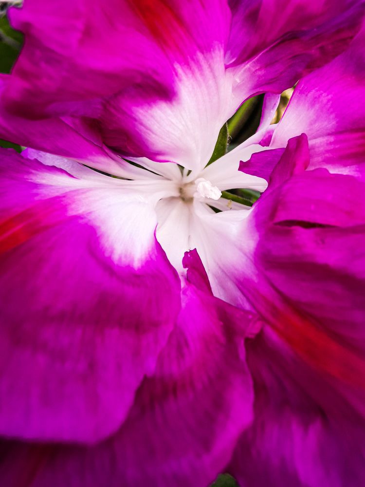 Photograph by Наталья Асоскова