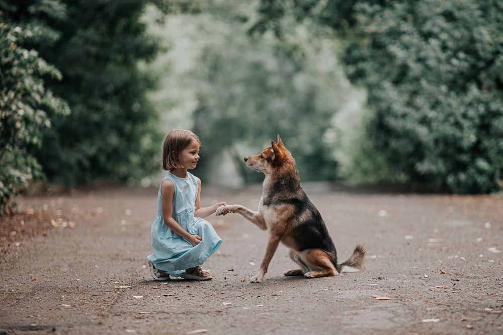 Фотография автора Павел Учёнов