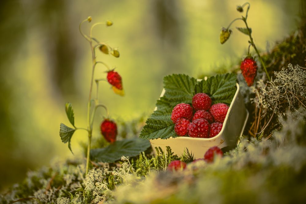 Photograph by Сергей Романченко