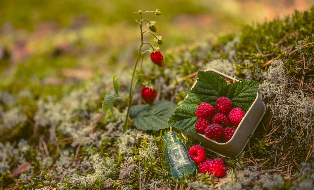 Photograph by Сергей Романченко