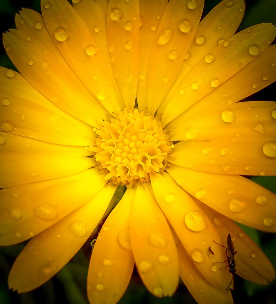 Photograph by Евгений Гусев