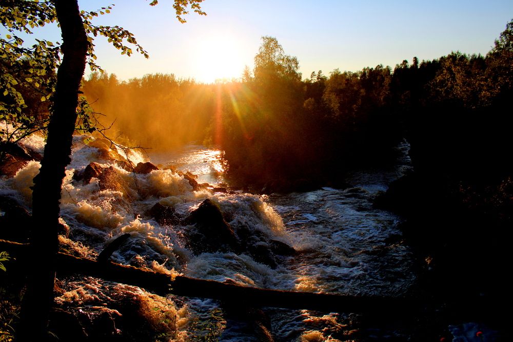 Photograph by Ирина Чечкина