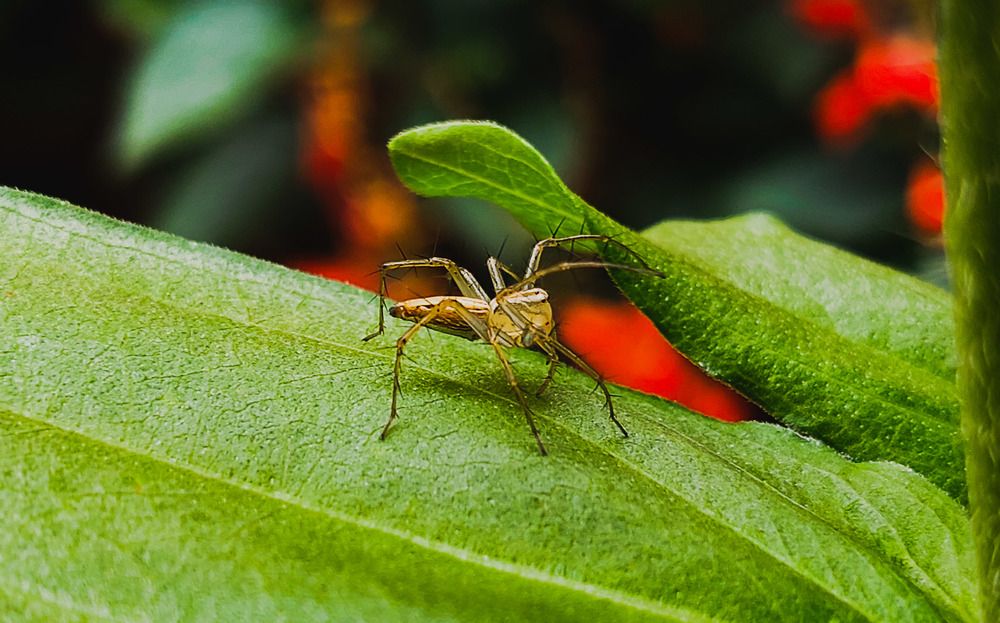 Photograph by kishan lalwani