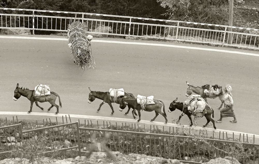 Тяжелые будни женщин Эфиопии...