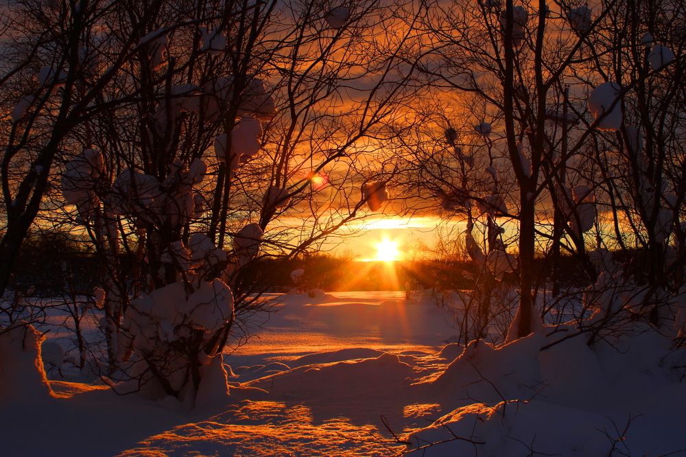 Photograph by Ирина Чечкина