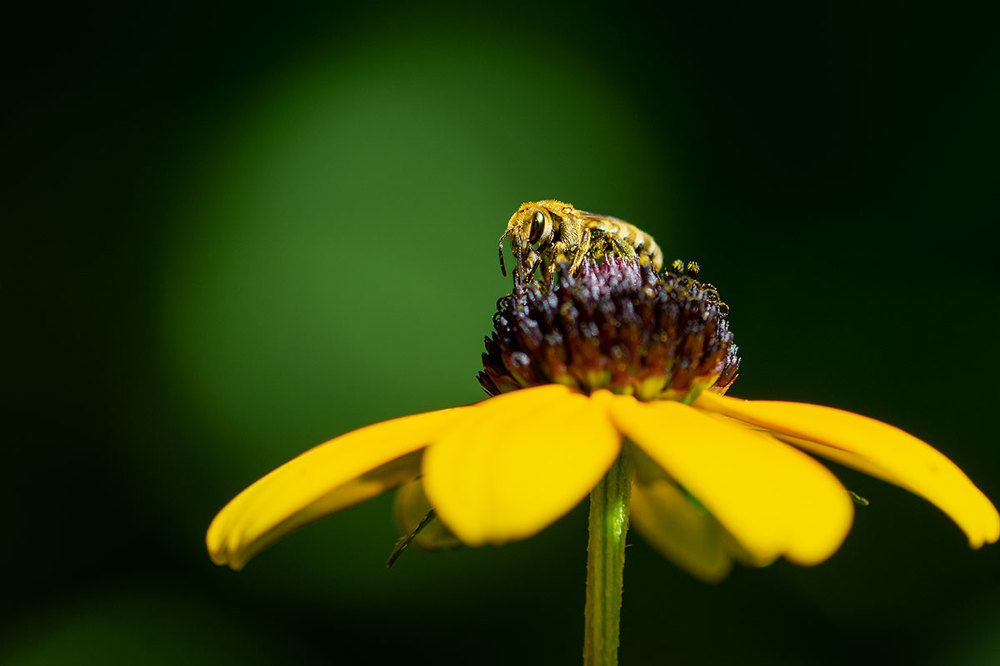 Photograph by Inga Tokar