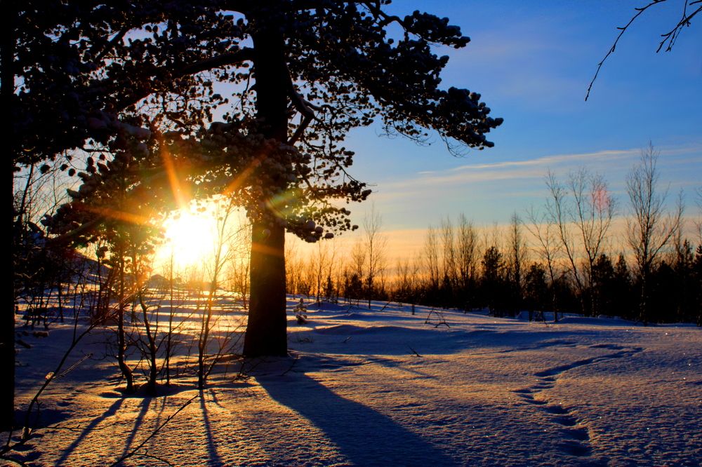 Photograph by Ирина Чечкина