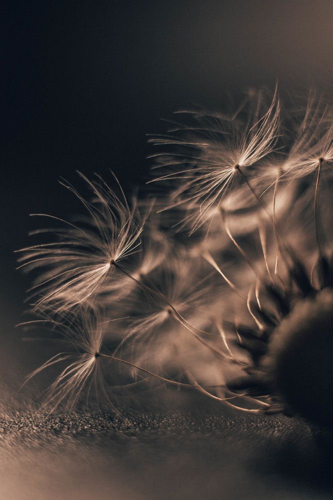 Photograph by Анна Колесникова