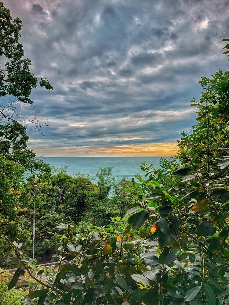 Photograph by Илья Игнашкин