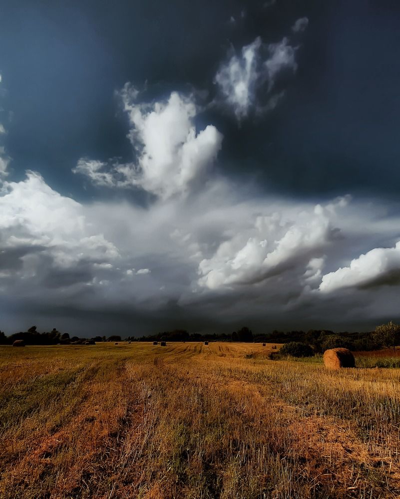 Перед грозой