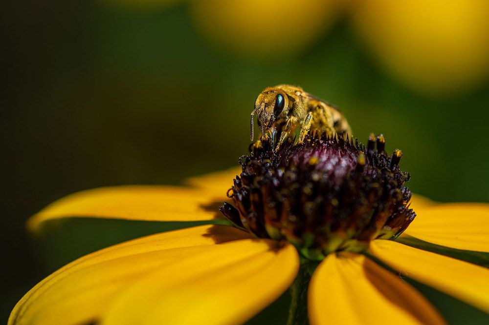 Photograph by Inga Tokar