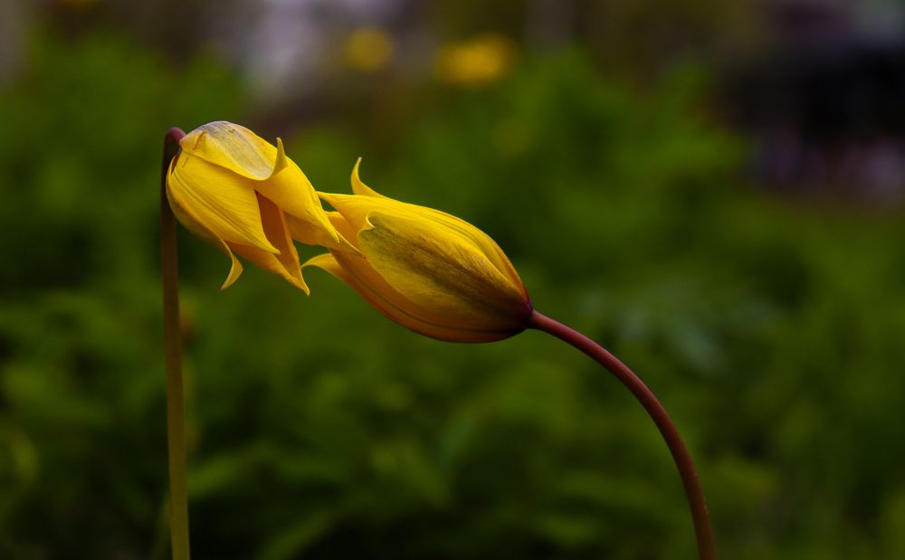 Photograph by Иван Белянин