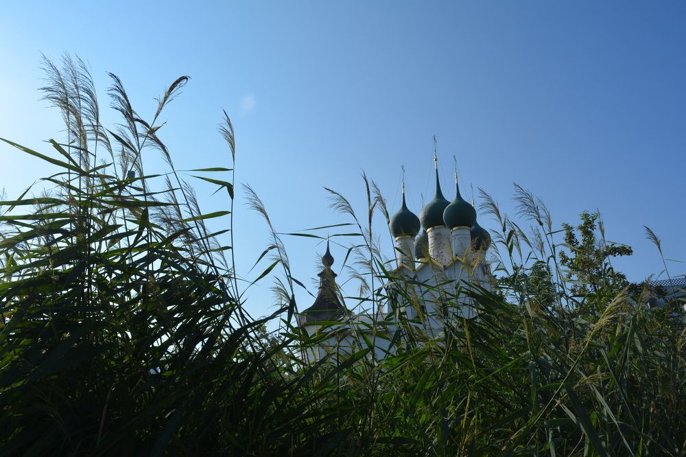 Photograph by Александр Викулов