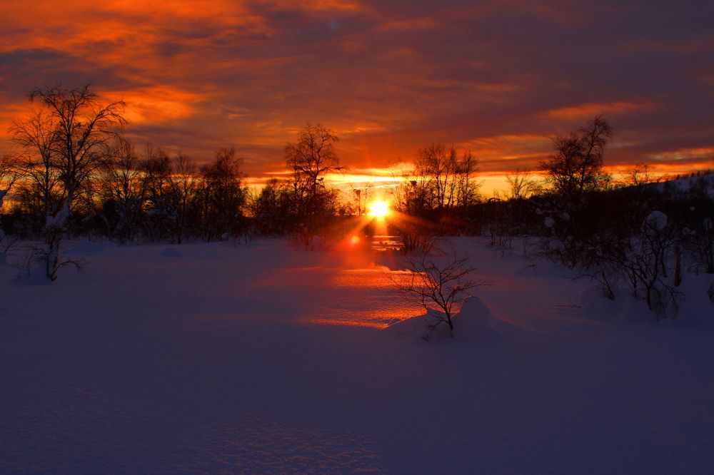 Photograph by Ирина Чечкина