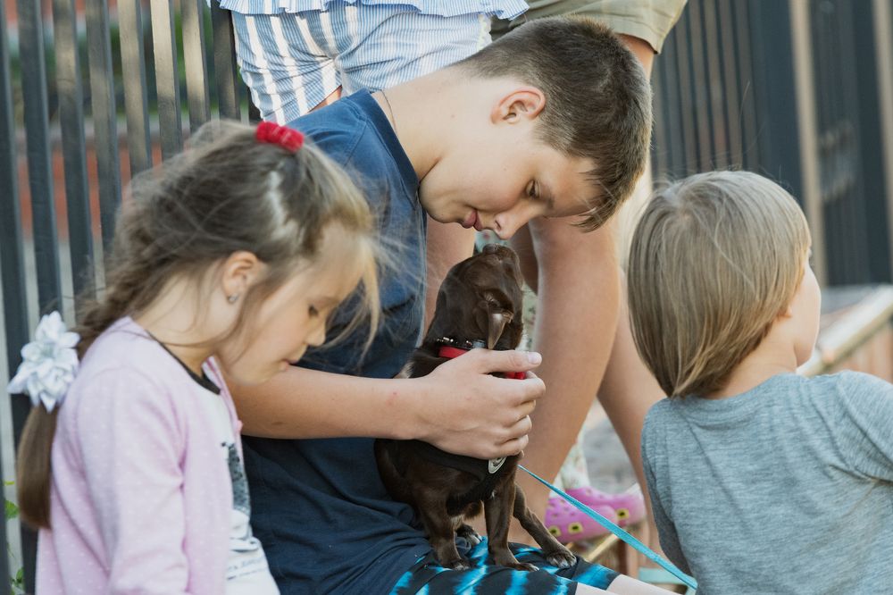 Photograph by Демьян Лопатов