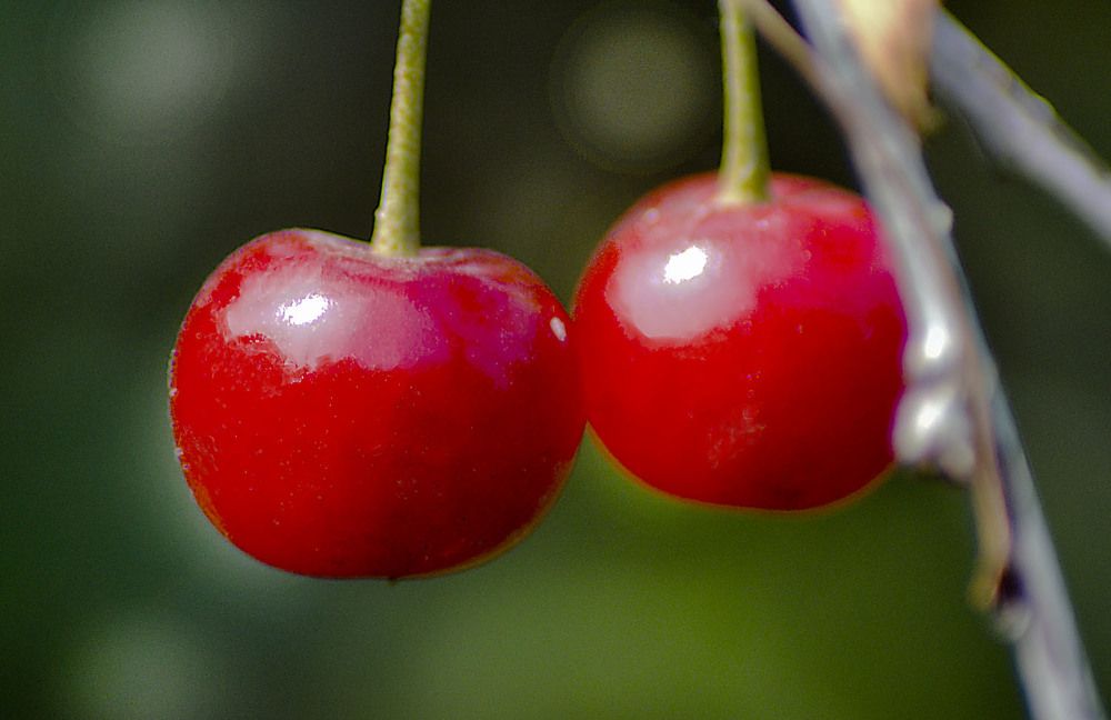 Photograph by Анатолий Васильев