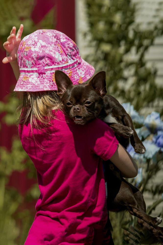 Photograph by Демьян Лопатов