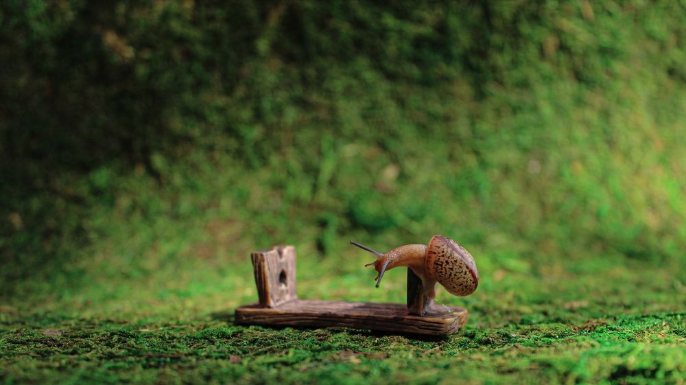 Photograph by Айгуль Камалиева