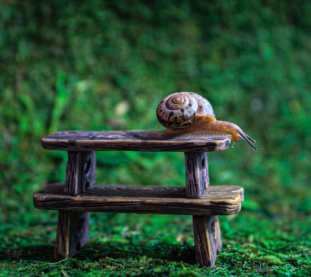 Photograph by Айгуль Камалиева