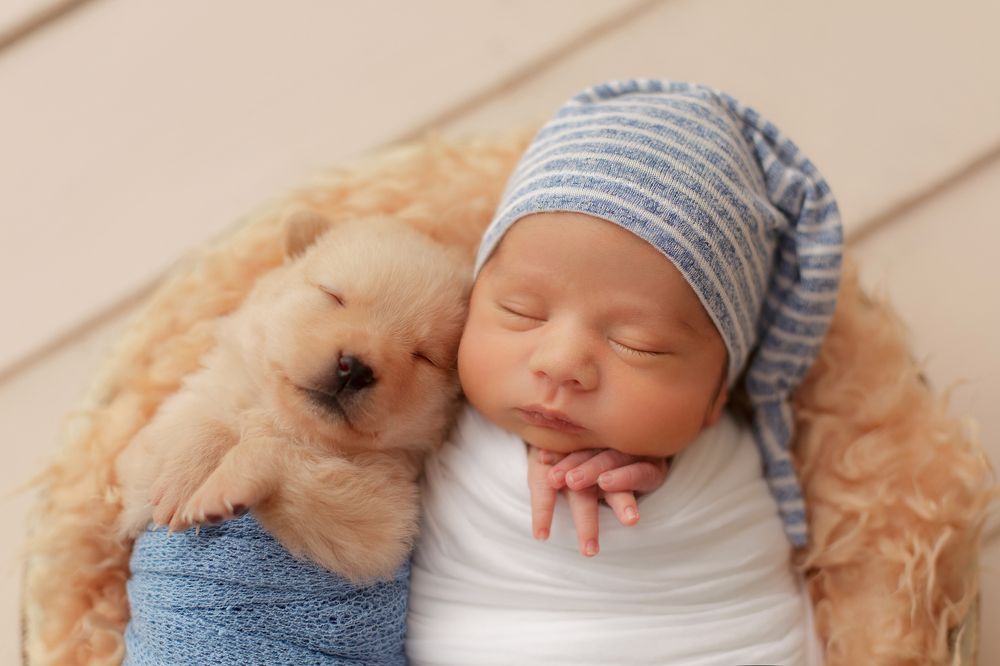 Photograph by Юлия Давыдова