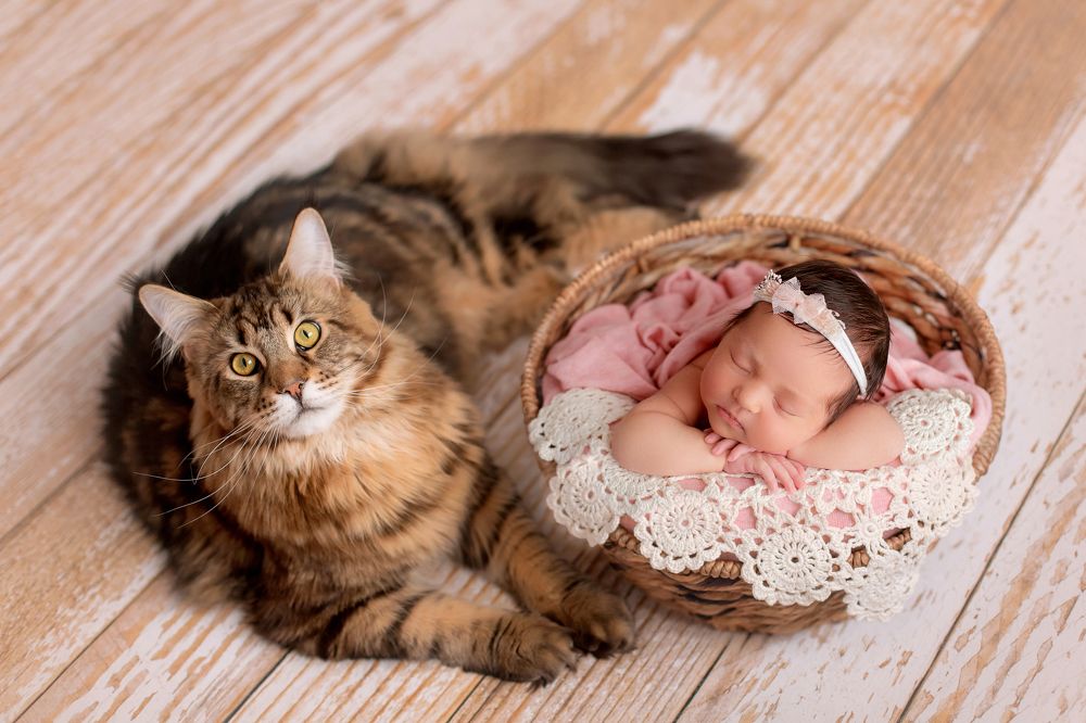 Photograph by Юлия Давыдова