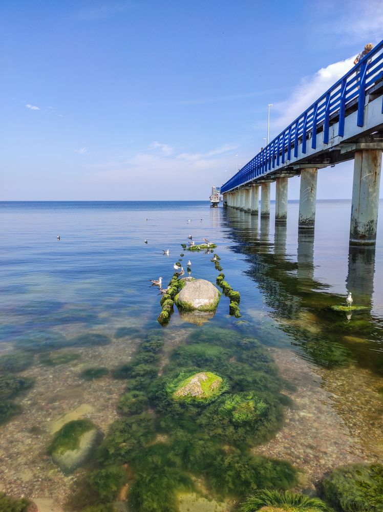 Photograph by Nastуa Lapa