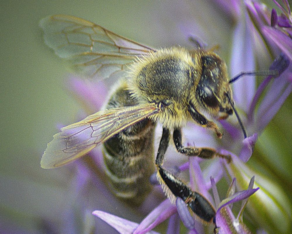 Photograph by Анатолий Васильев