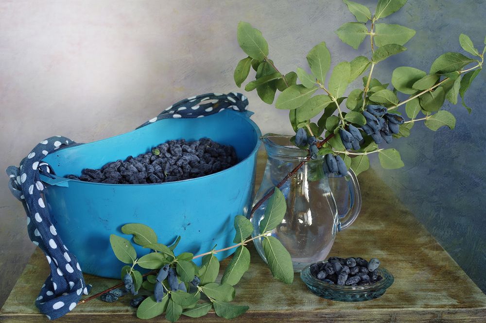 Photograph by Вера  Павлухина