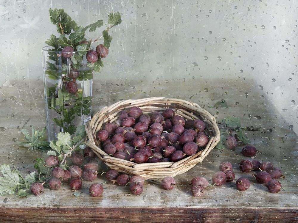 Photograph by Вера  Павлухина