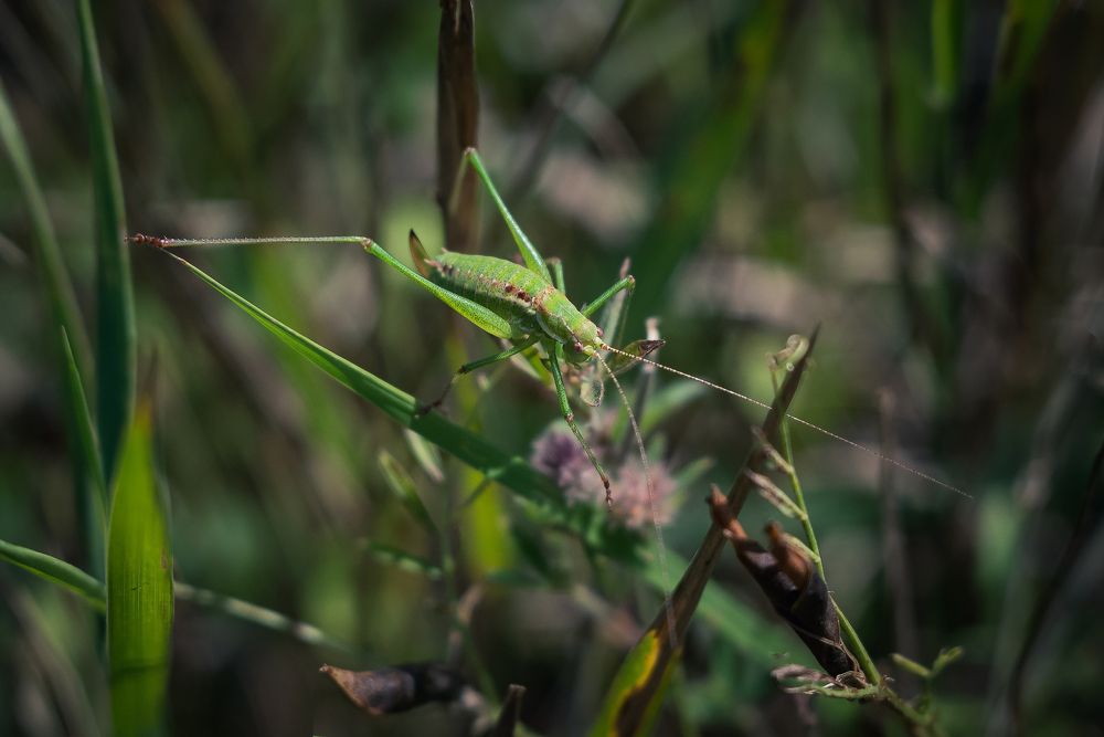 Photograph by Алексей Стариков