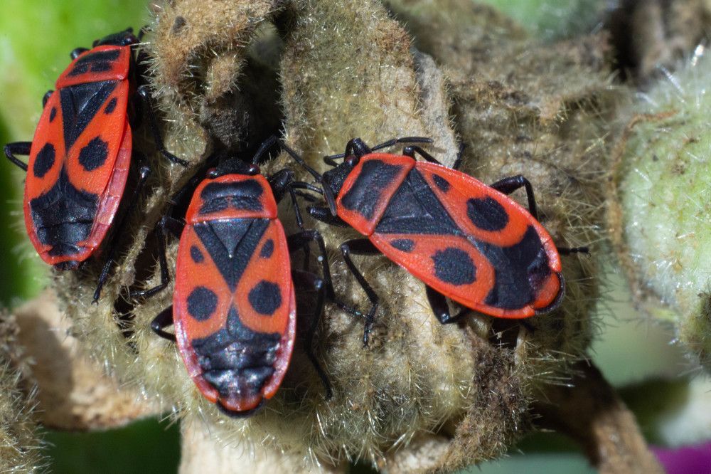 Photograph by Анжелика Трошина