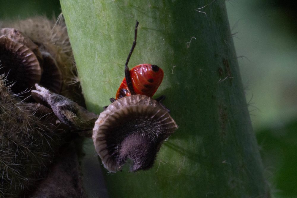 Photograph by Анжелика Трошина