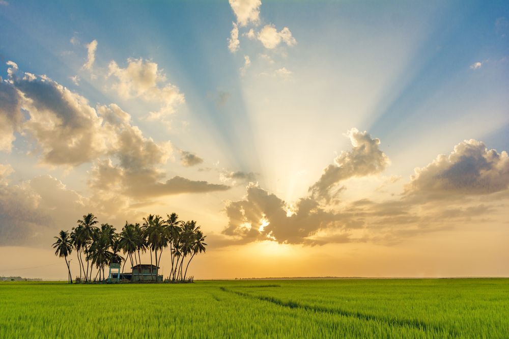 Photograph by NISATH BASRI