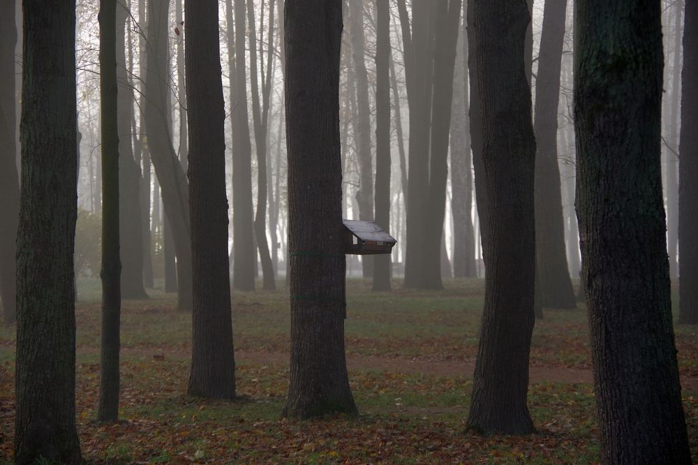 Photograph by Igor Sorokin