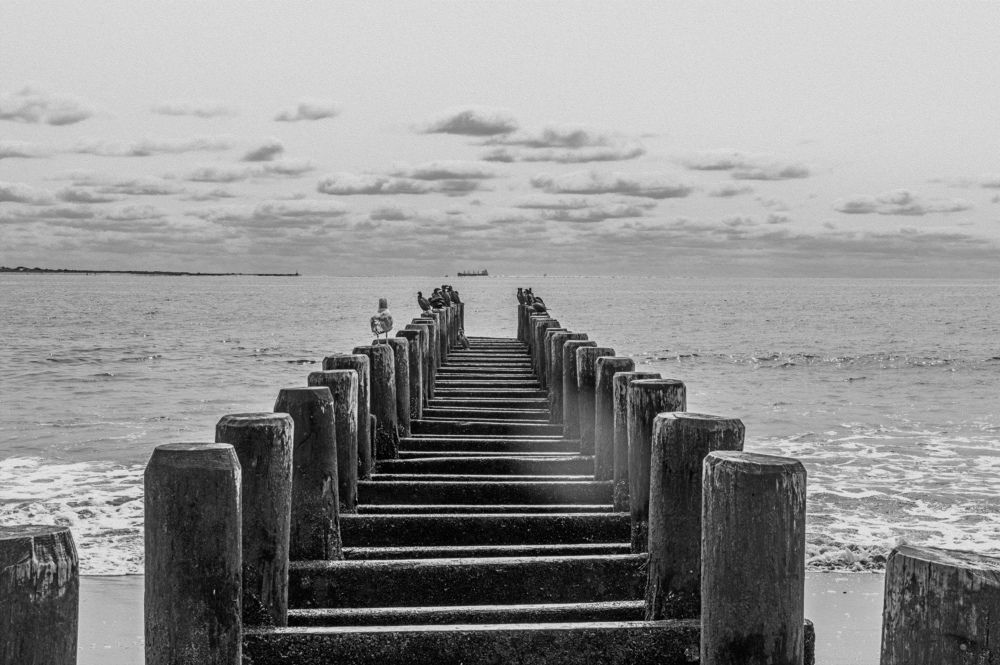 Photograph by Joaquin Silva