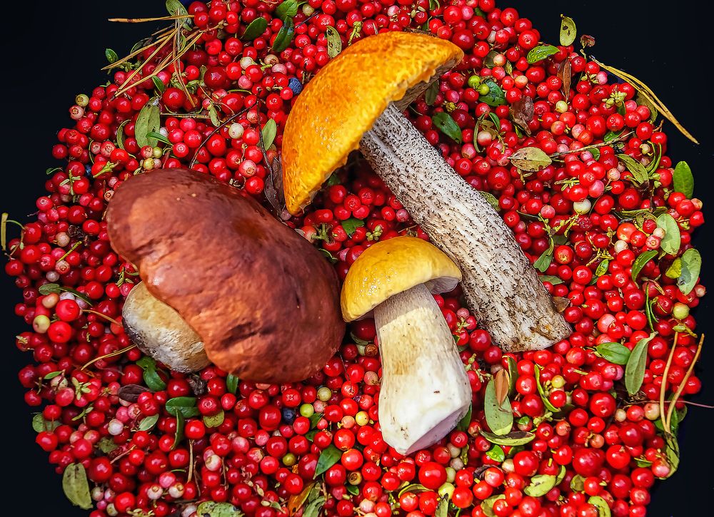 Фотография автора Юрий Цыркунов