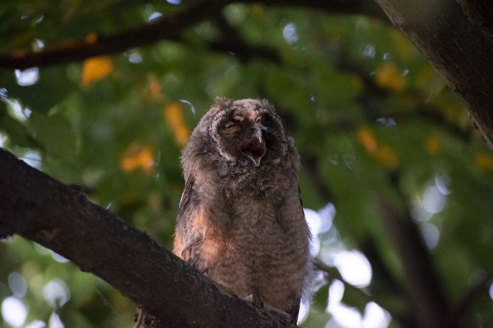 Photograph by Артём Синиятулин