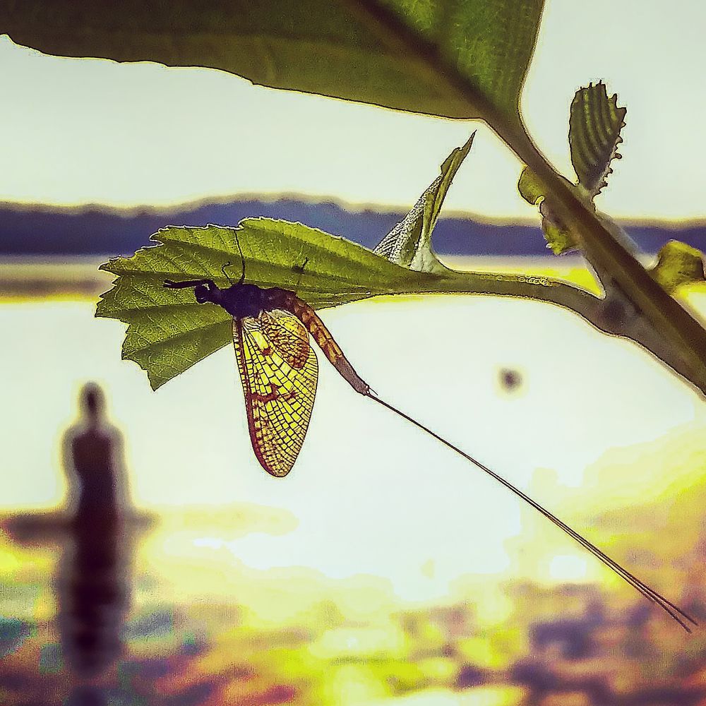 Фотография автора Юрий Цыркунов