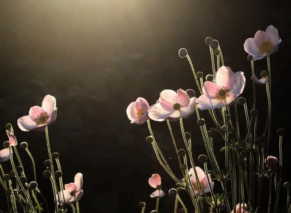 Photograph by Ольга Максимушкина