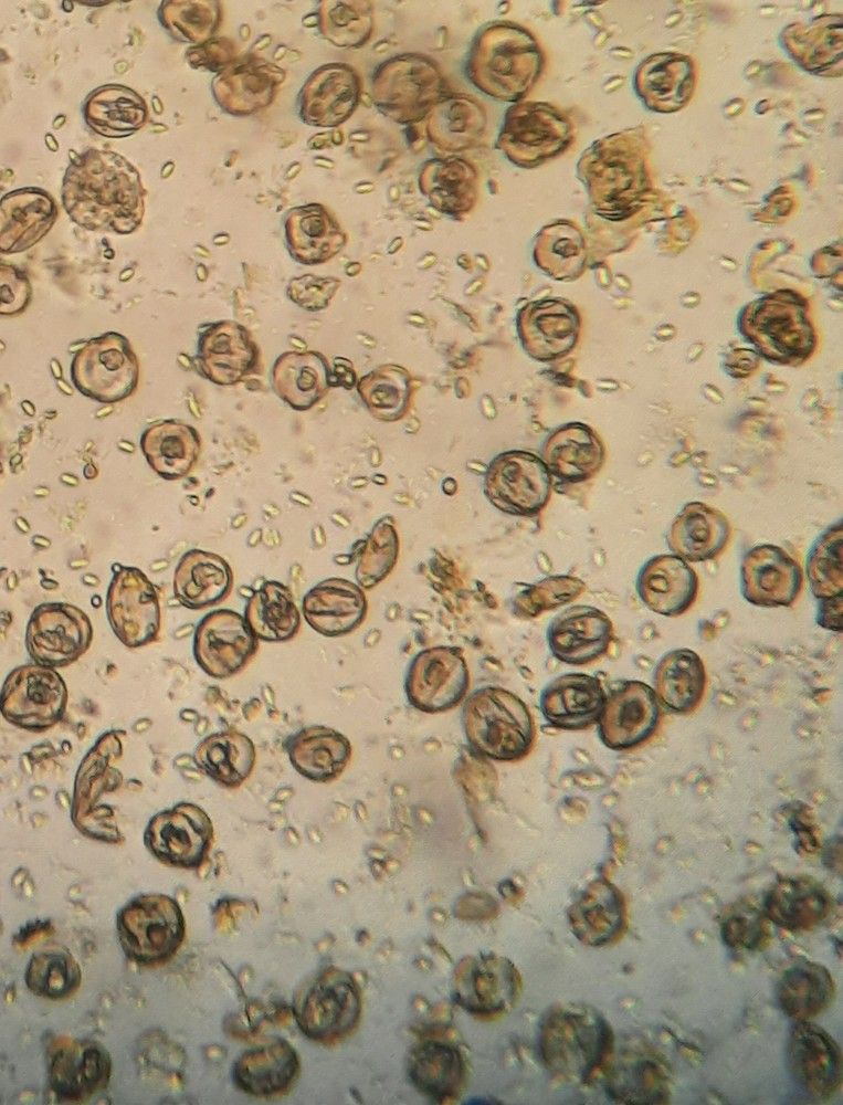 Photograph by Елена Симонова