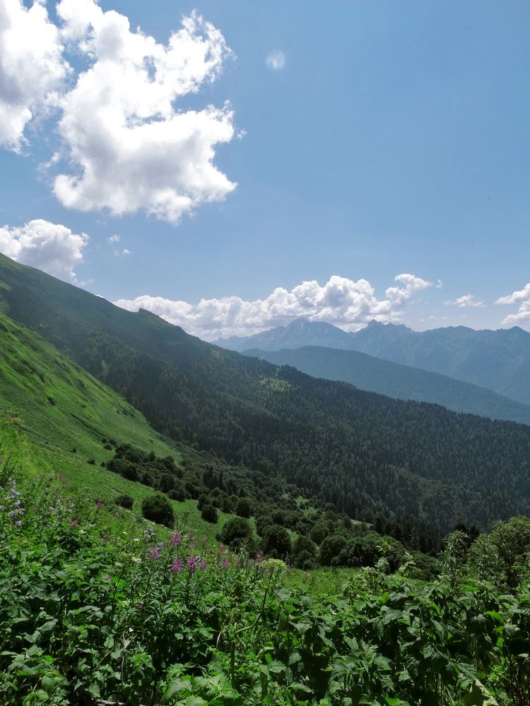 Photograph by Екатерина