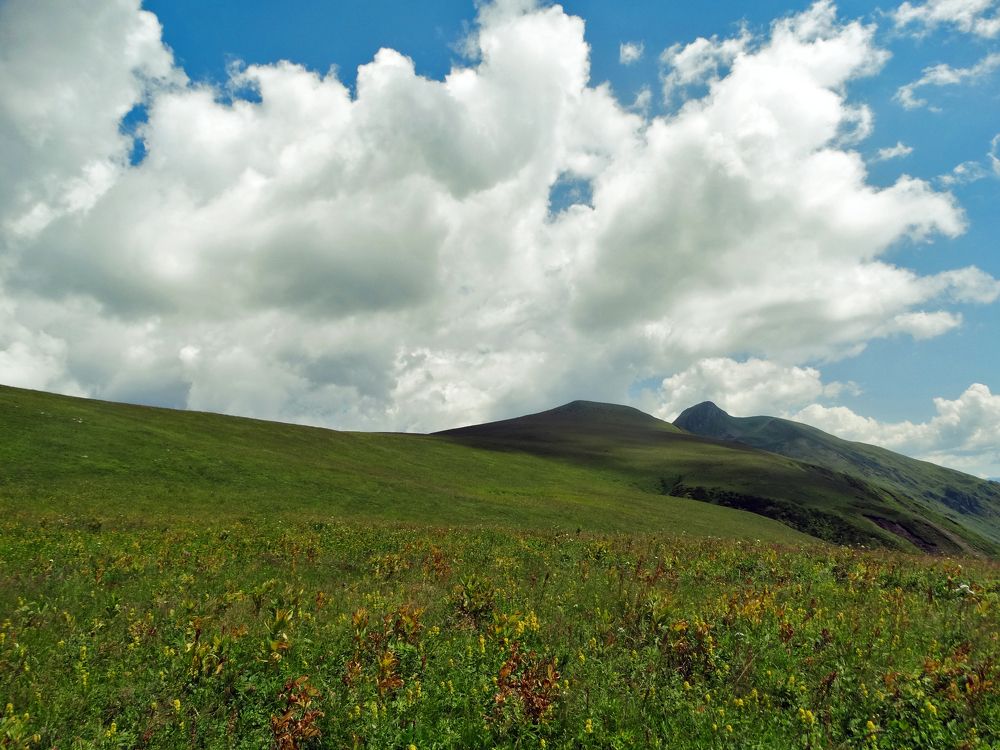 Photograph by Екатерина