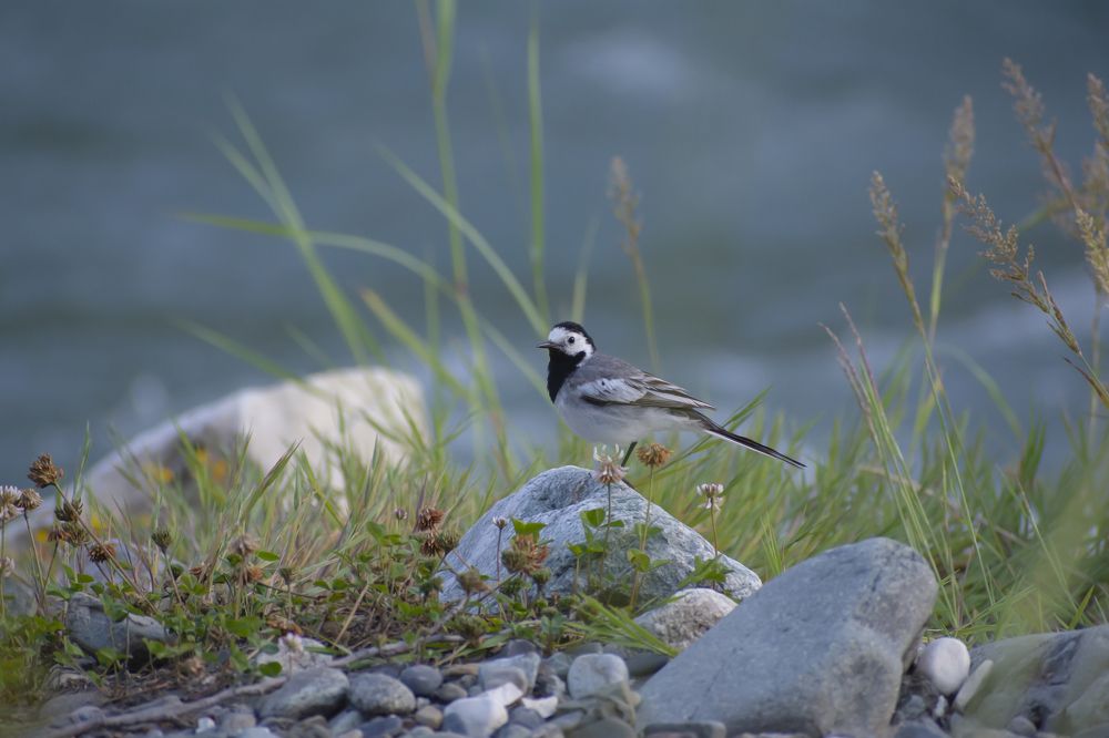 Photograph by Артём Синиятулин