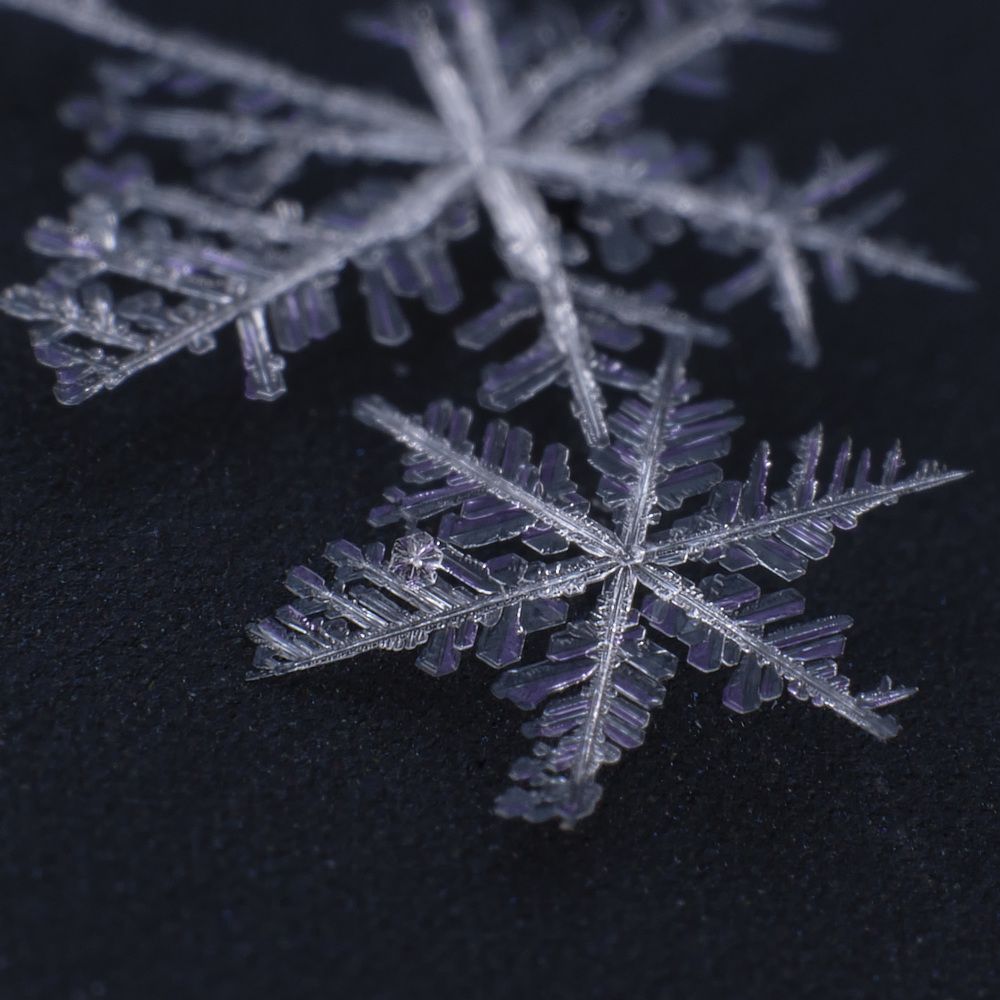 Photograph by Дмитрий Емельянов