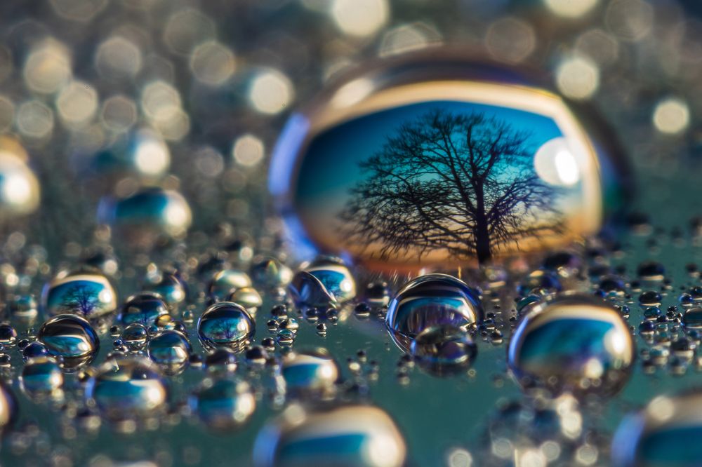 Photograph by Александр Рындин